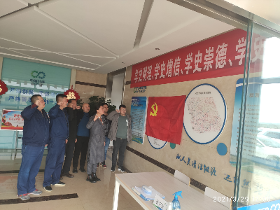 风电内蒙党支部以现实验动推动 党史学习教育 助力墟落振兴