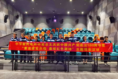 西中公司党总支开展“学习党史正其时  传承奋进新征程”主题党日系列运动