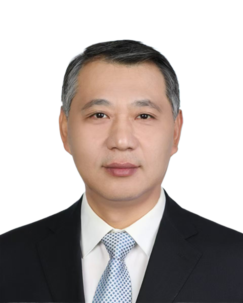 高管团队