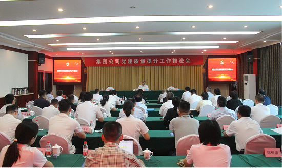 集团公司召开党建质量提升事情推进会